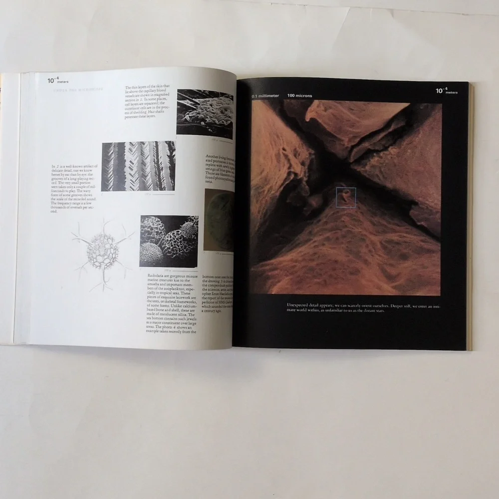 Powers of Ten - 1982 - Picture 11 of 14